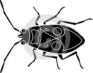 Black silhouette of Firebug Pyrrhocoris apterus isolated on white